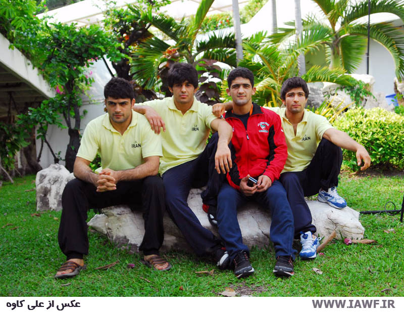 Sample Image