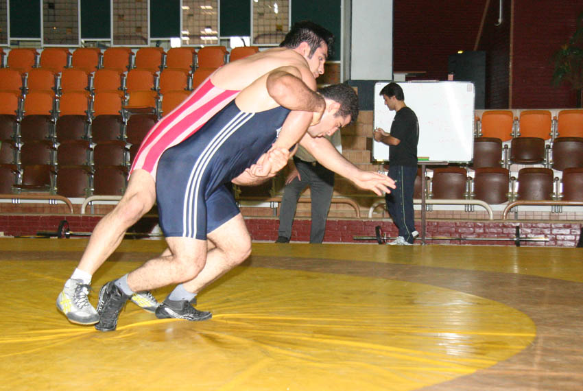 Sample Image